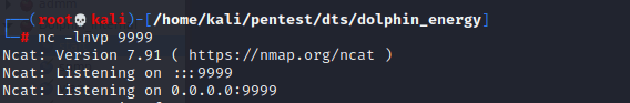 netcat listener 9999