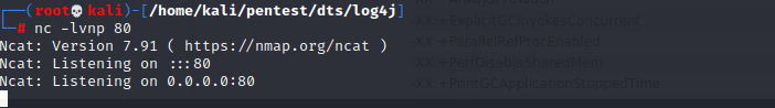 netcat listener